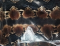 IMG_20201105_134544.jpg